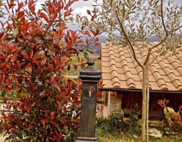 Il Podere Di Massi Barberino di Mugello Εξωτερικό φωτογραφία