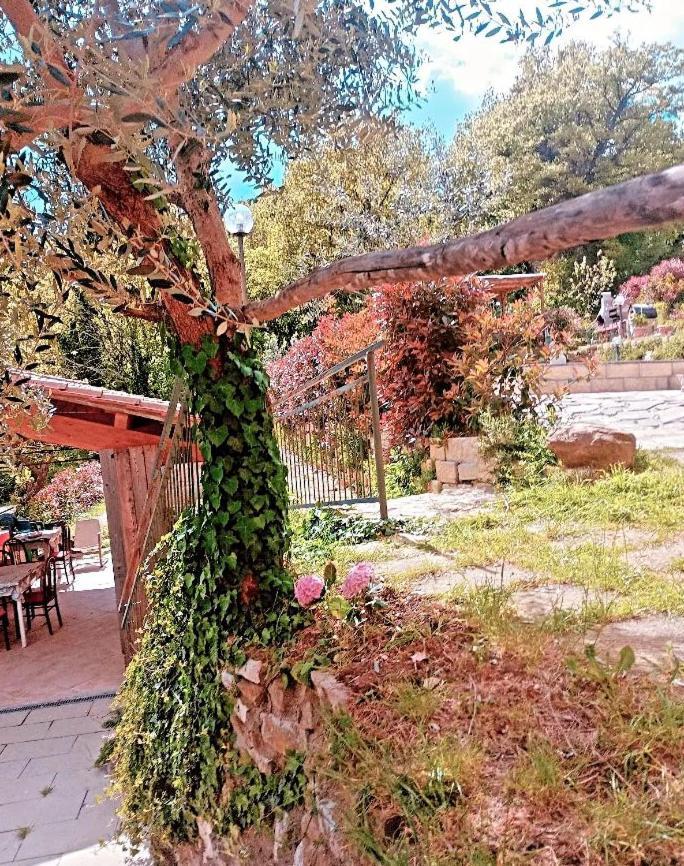 Il Podere Di Massi Barberino di Mugello Εξωτερικό φωτογραφία