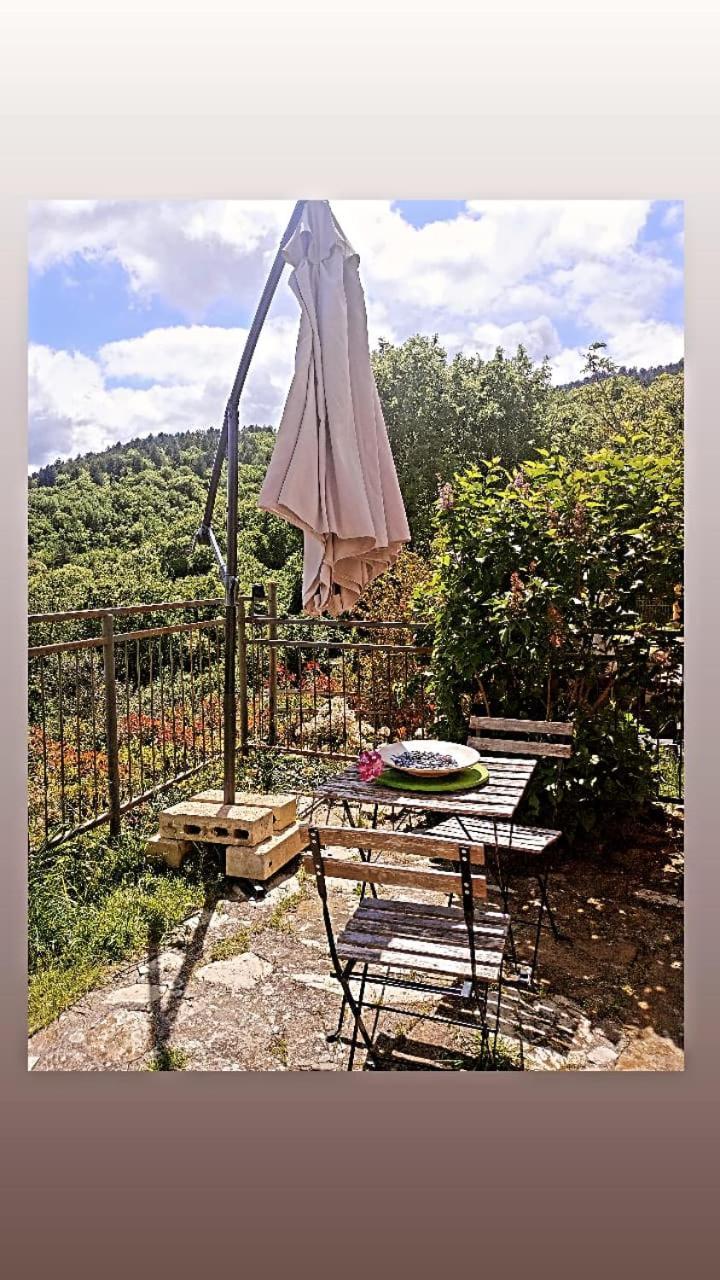 Il Podere Di Massi Barberino di Mugello Εξωτερικό φωτογραφία