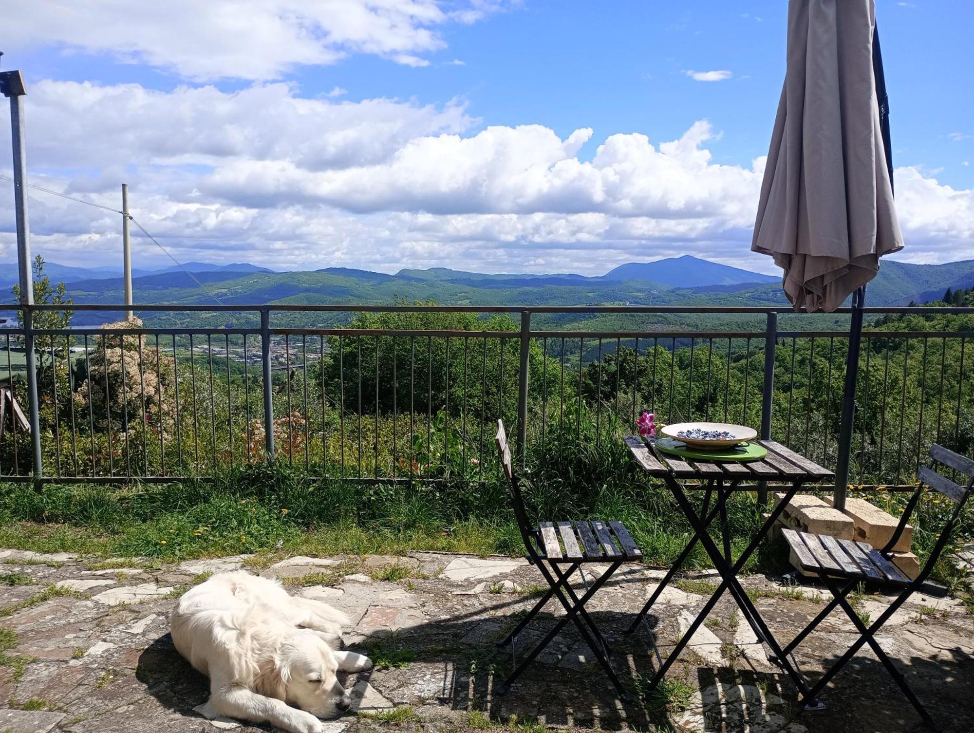 Il Podere Di Massi Barberino di Mugello Δωμάτιο φωτογραφία