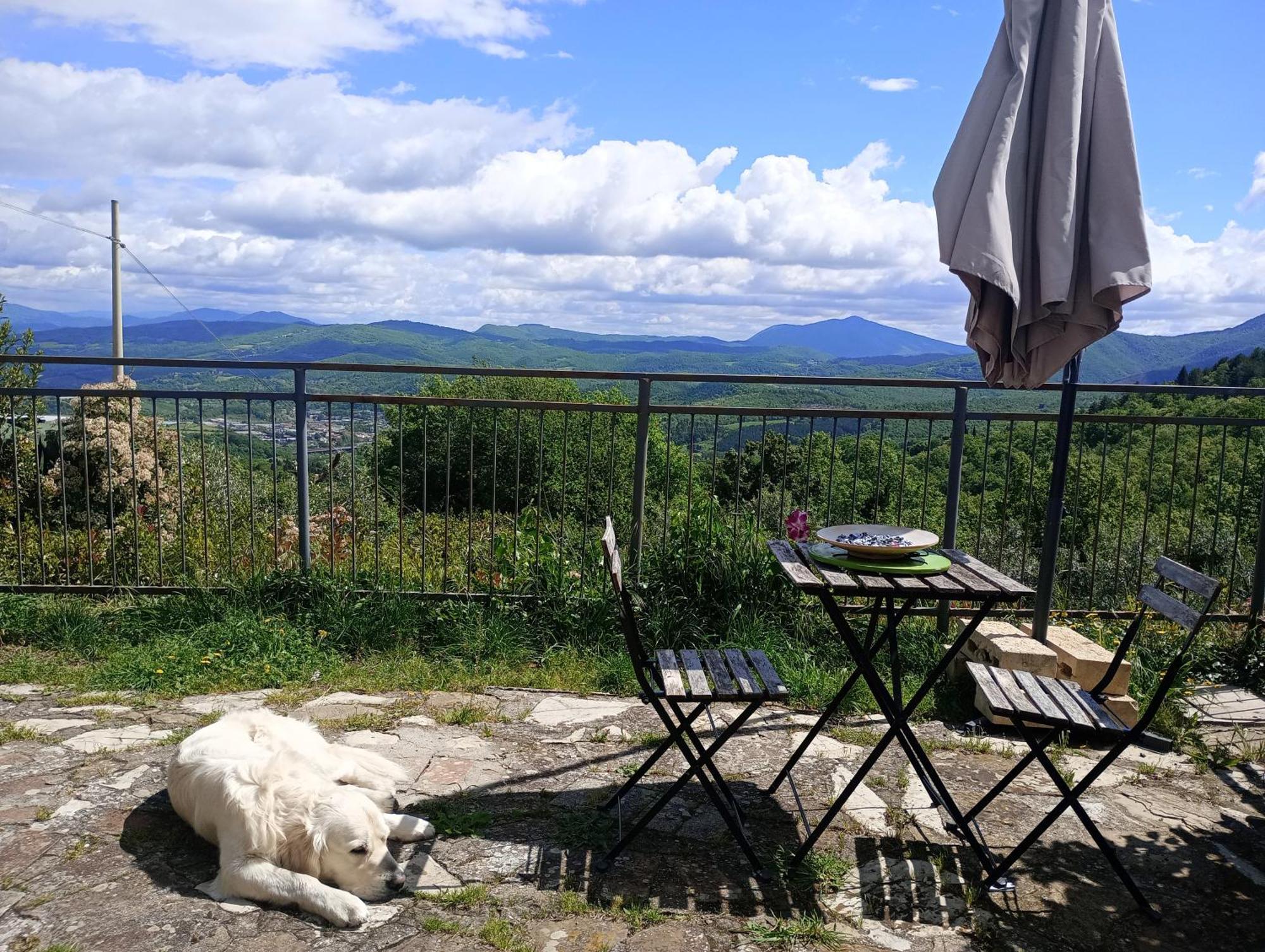 Il Podere Di Massi Barberino di Mugello Εξωτερικό φωτογραφία